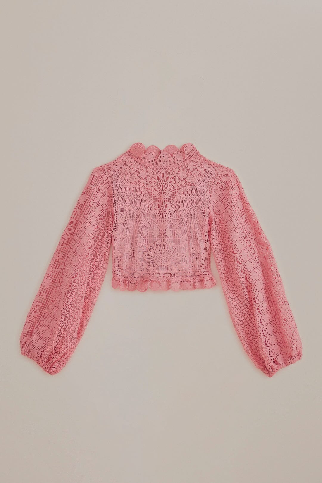 Blush Pink Guipure Long Sleeve Blouse - Image 7