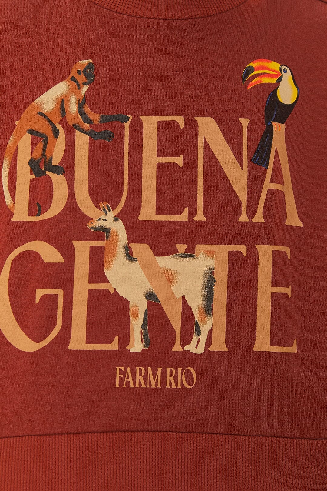 Brown Buena Gente Sweatshirt - Image 4