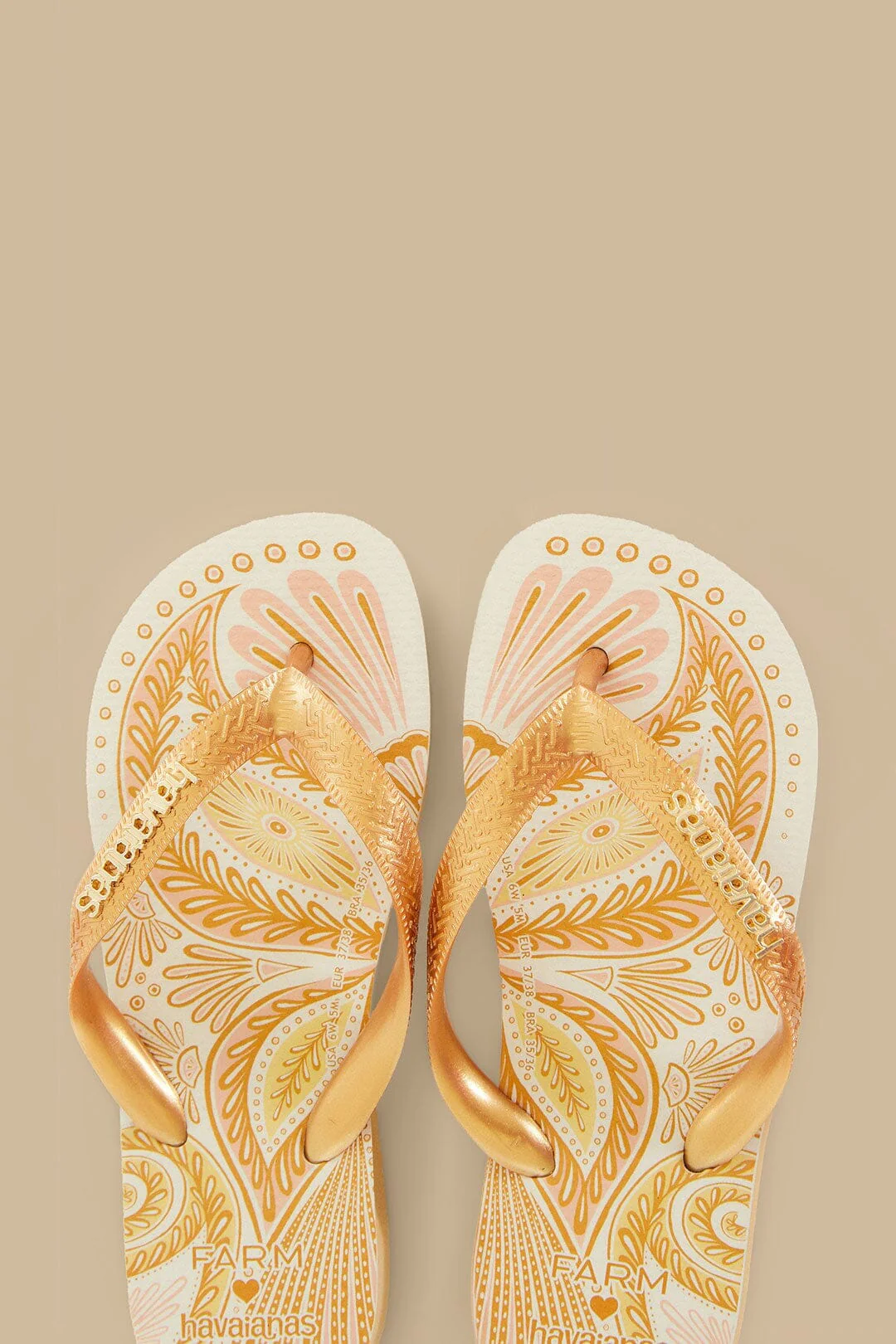 Papillon Havaianas - Image 3
