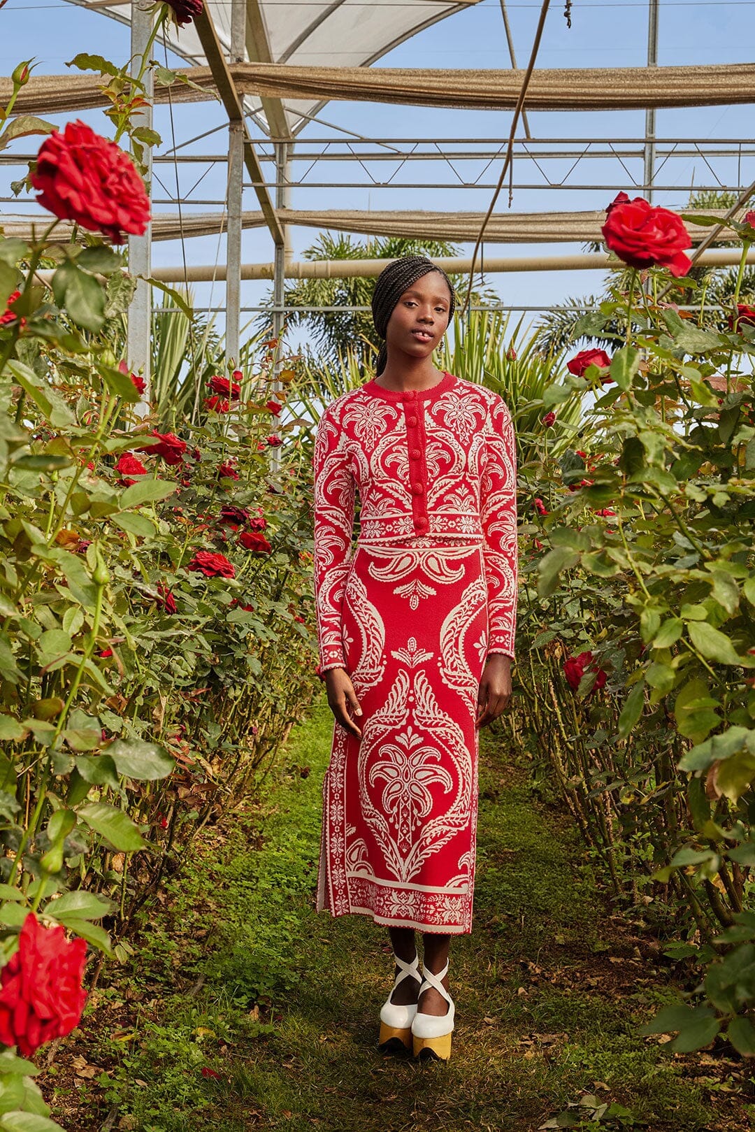 Red Tropical Jacquard Knit Cardigan - Image 3
