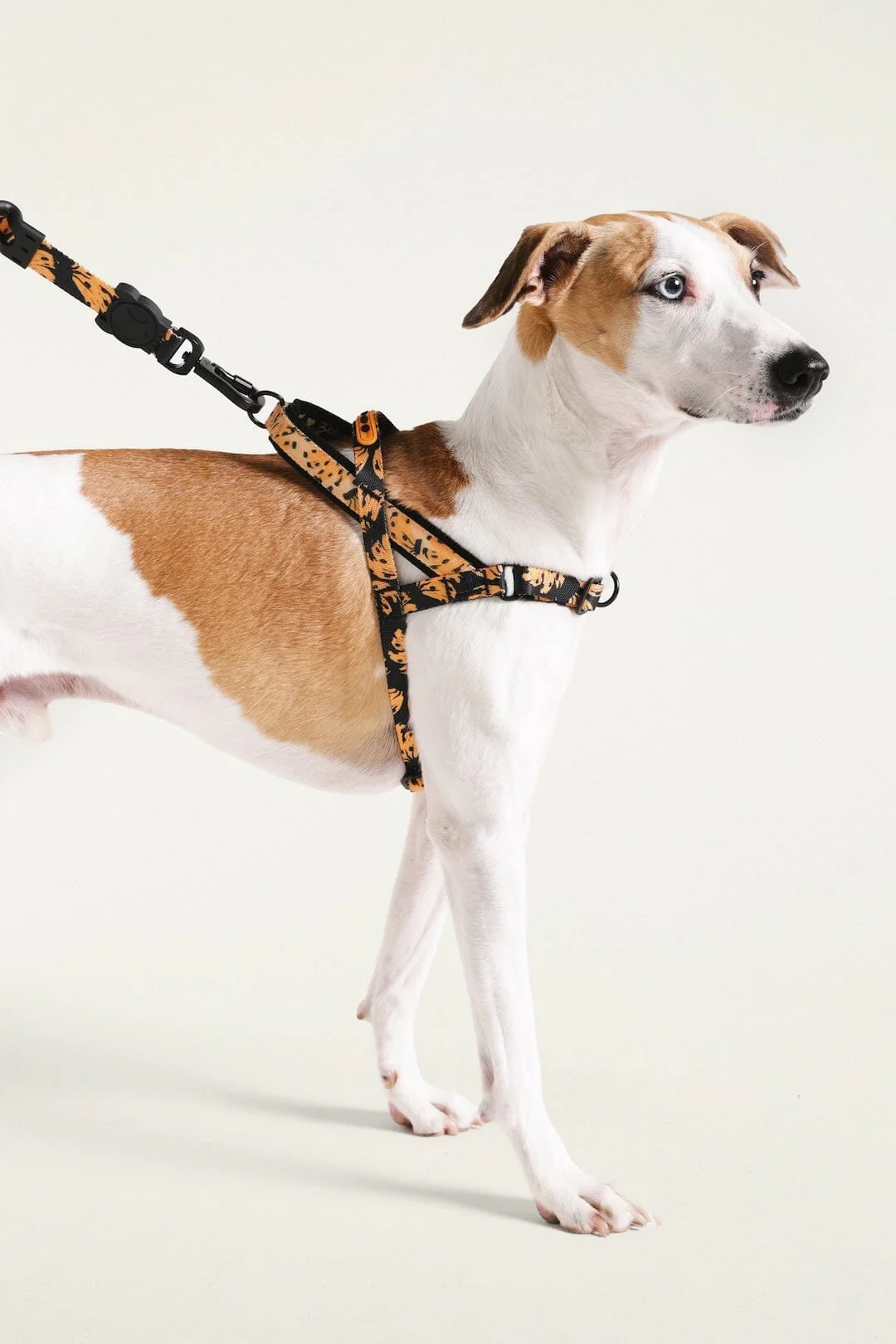 Zeedog Farm Bananas Softer Walk - Size L