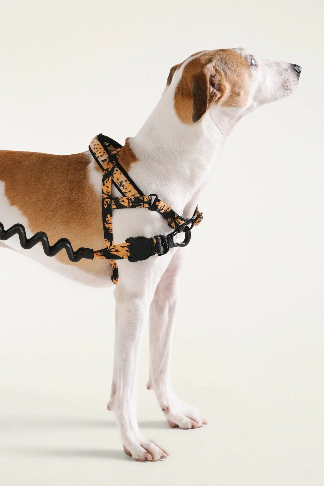 Zeedog Farm Bananas Softer Walk - Size L - Image 3