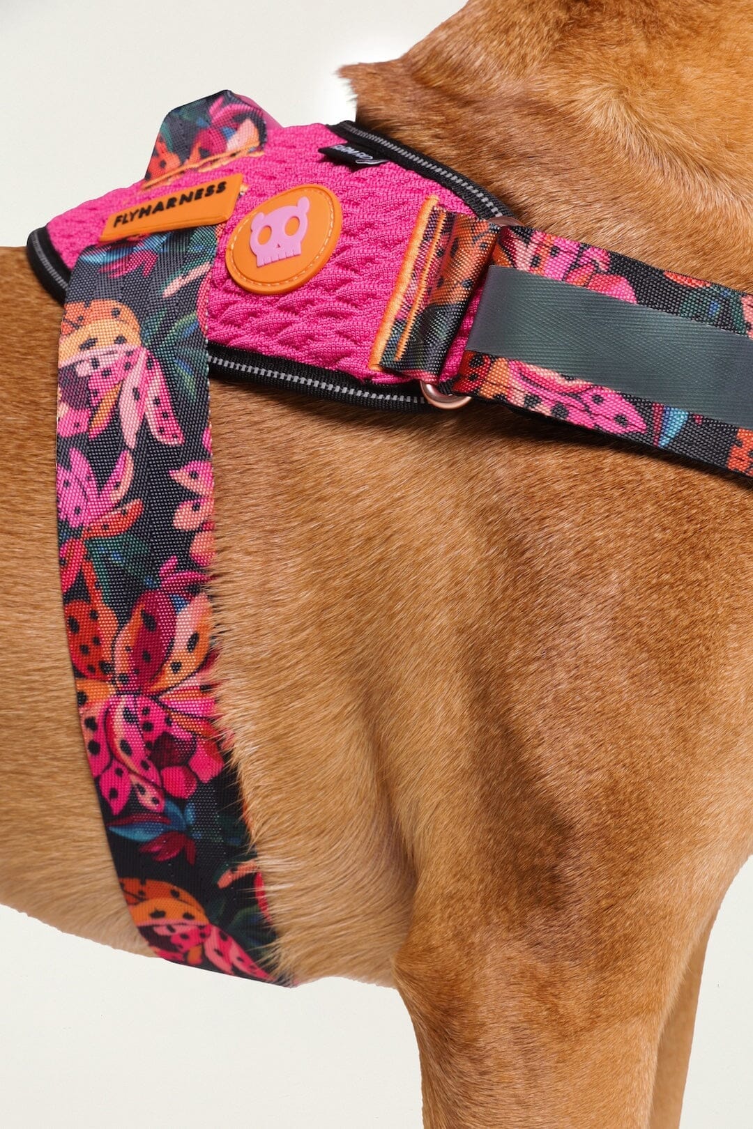 Zeedog Farm Onca Flyharness - Size 4 - Image 6
