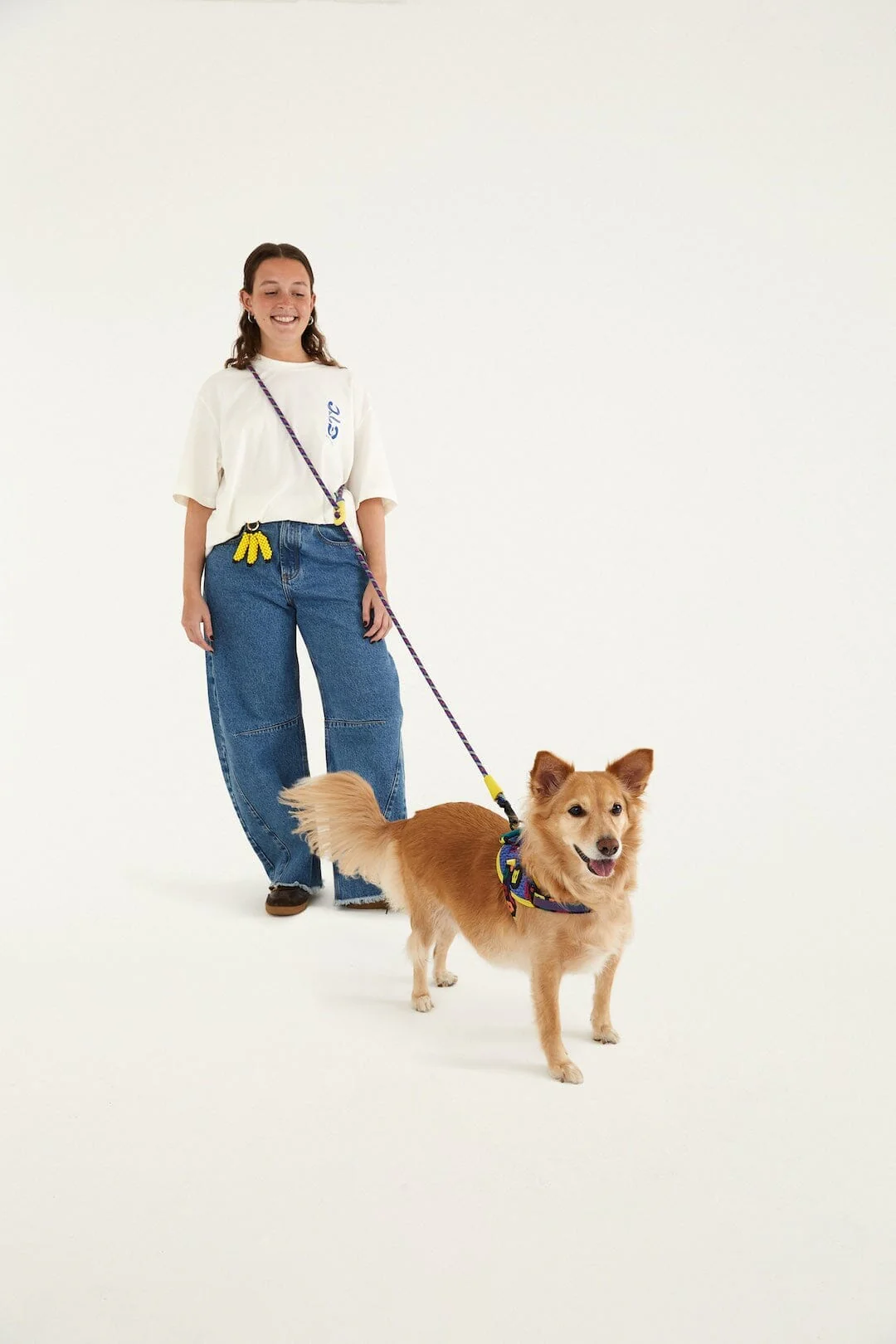 Zeedog Farm Samba Hands-Free Leash - Image 4